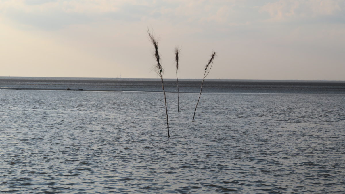 Neue Befahrensverordnung für das Wattenmeer (NordSBefV) tritt in Kraft